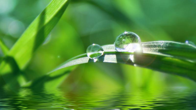 Wassertropfen auf Grashalm symbolisiert Nachhaltigkeit